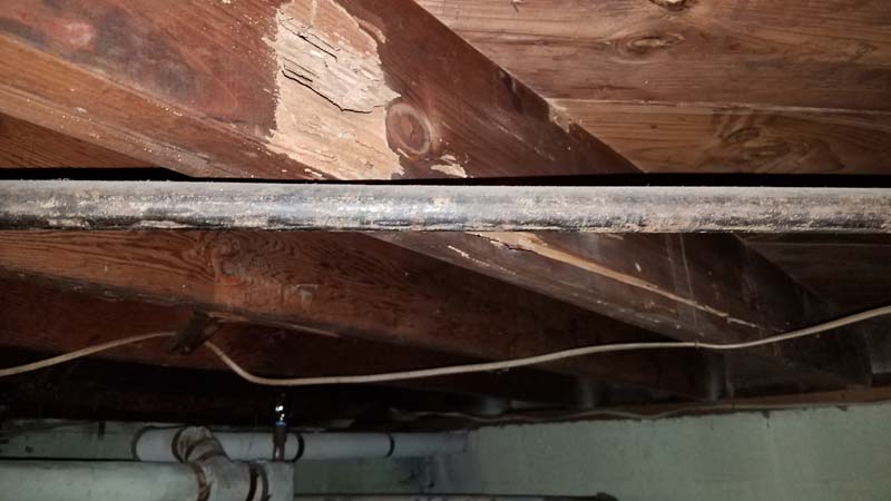 Termite joist damage