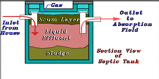 Section View of Septic Tank